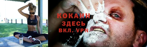 твердый Ростов