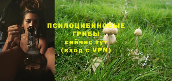 твердый Ростов