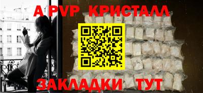 jwh Кингисепп
