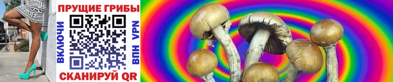 Псилоцибиновые грибы ЛСД  Фрязино 