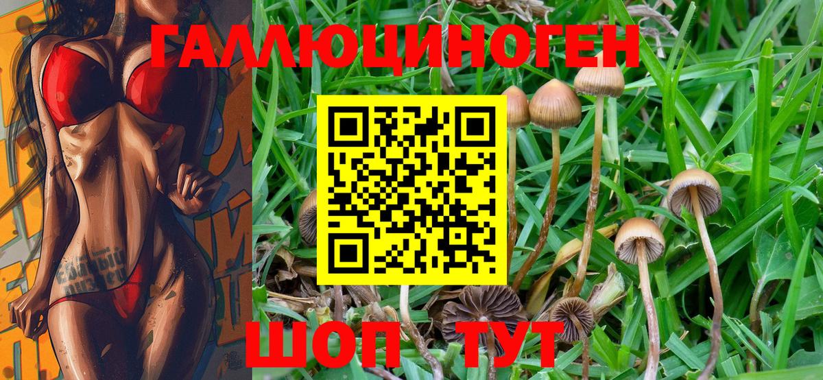 APVP СК кристаллы  Кодеин  Фрязино  Кокаин  Мефедрон   ГАШИШ  Меф   Каннабис 