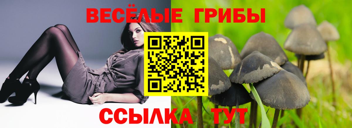 Псилоцибиновые грибы прущие грибы Фрязино