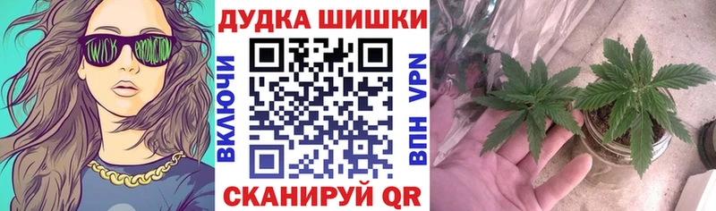 Конопля Bruce Banner  Фрязино 